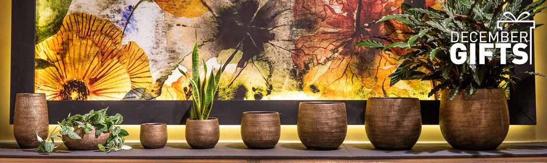 December Gifts December Gifts