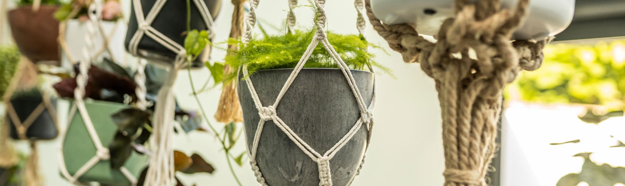 Blumentopf hanger Blumentopf hanger