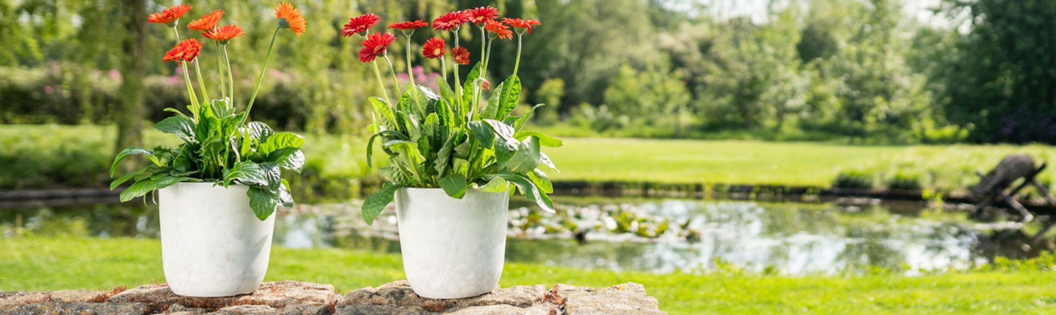 Kunststoff Kunststoff