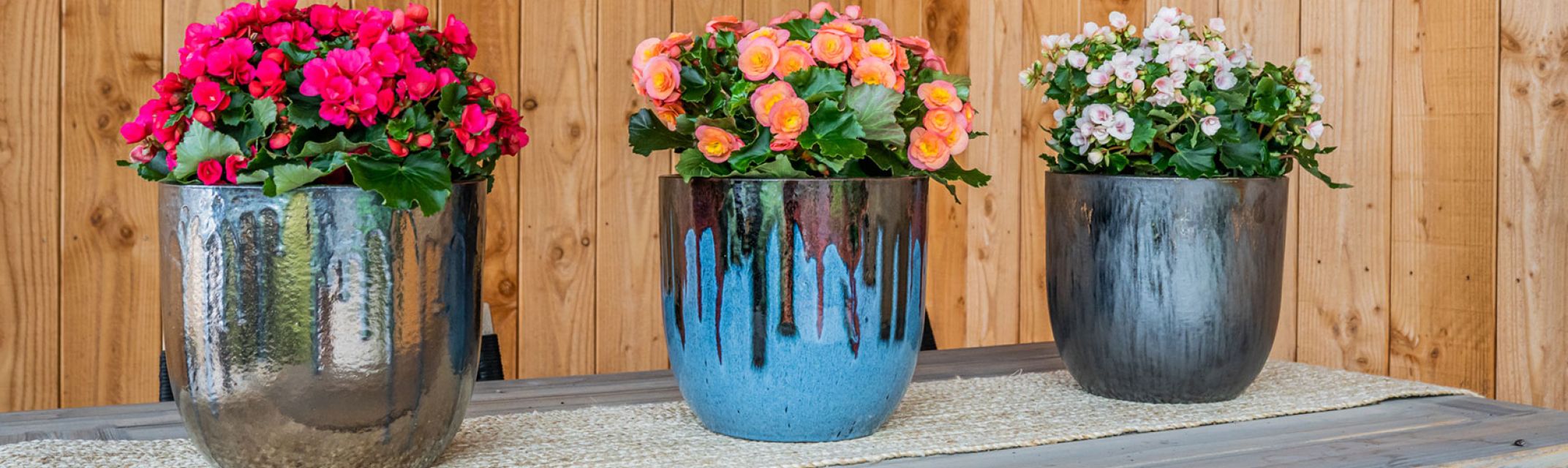 Mehrfarbig Mehrfarbig