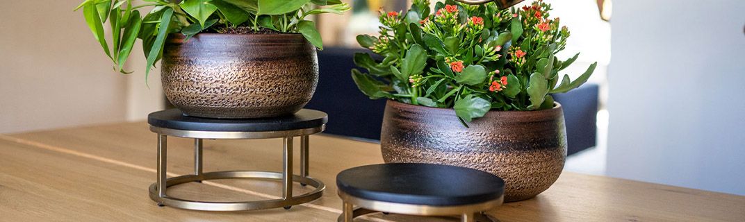 TS Collection lifestyle innen TS Collection lifestyle innen