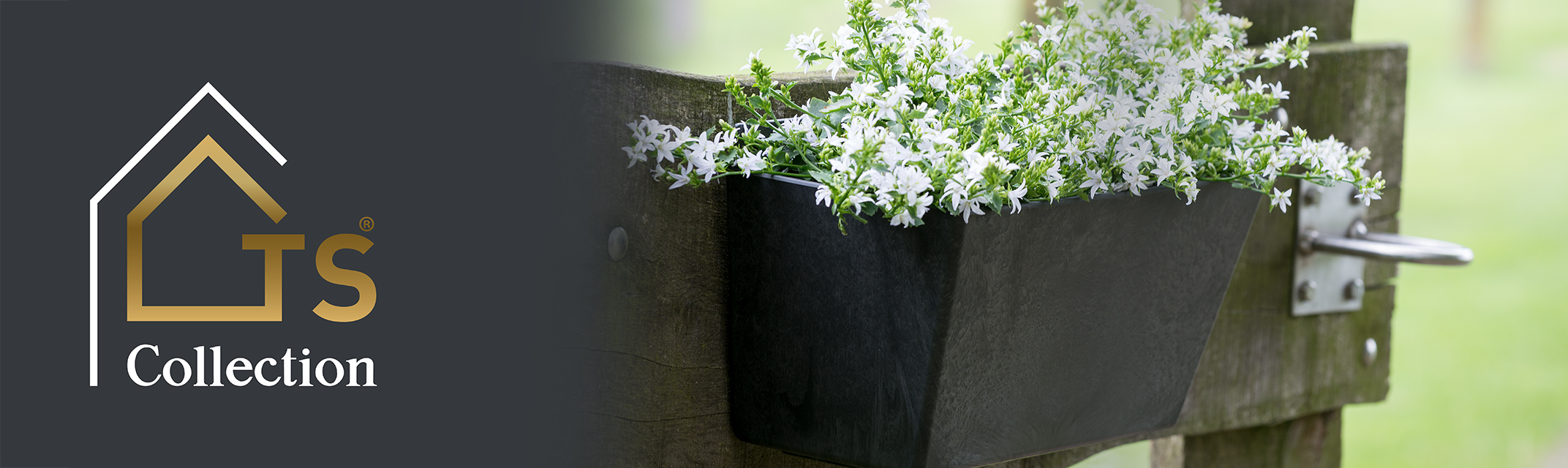 Wandhänger Wandhänger