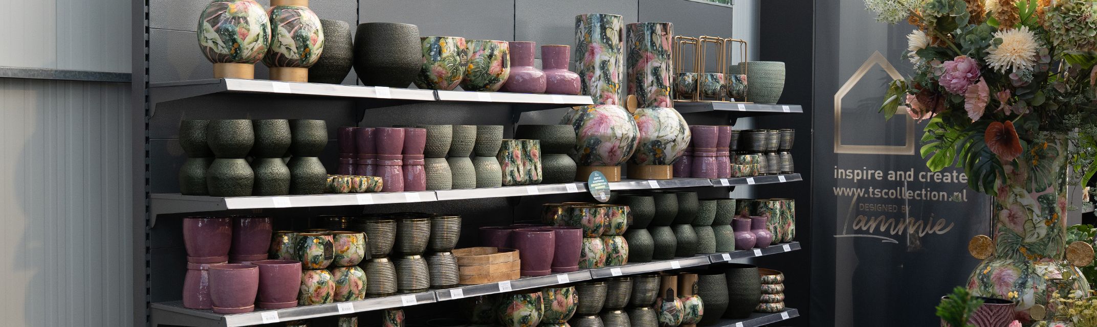 Monstera Mystery Monstera Mystery