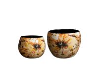 Topf Satz von 2 Cotton creme D9 H7