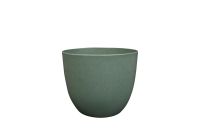 Topf Bola thymian D17 H15