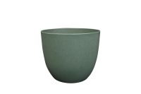 Topf Bola thymian D23 H20