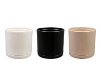 Palette Sven farbe D80x60 H107 3 sortiert