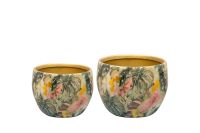 Topf Satz von 2 Monstera mystery D9 H7