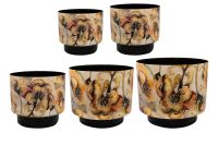 Topf Satz von 5 Camelia charm D22 H20