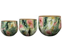 Topf Satz von 3 Monstera mystery D33 H28