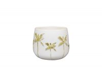 Topf Palm weiss D19 H15
