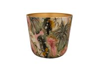 Topf Monstera mystery D21 H18