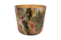 Topf Monstera mystery D23 H20