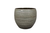 Topf Manuel shiny thyme D26 H24