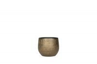Topf Ryan shiny gold D15 H13