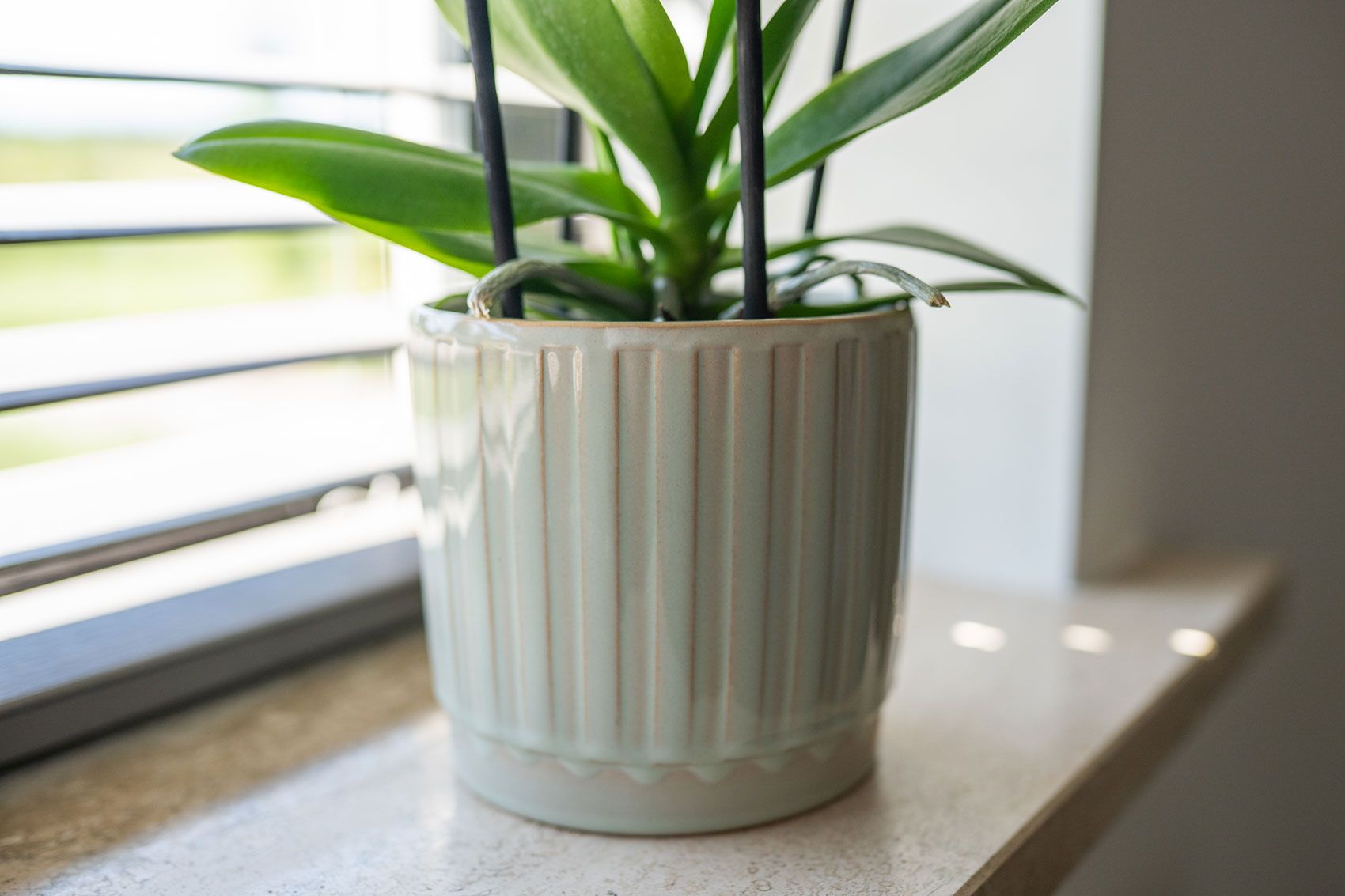 Kollektion Frühjahr 2026