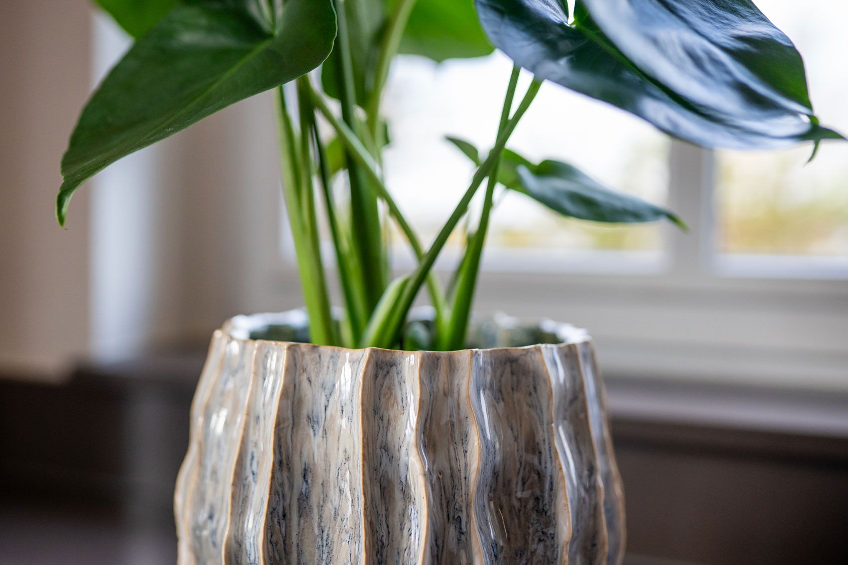 Kollektion Herbst/Winter 2026